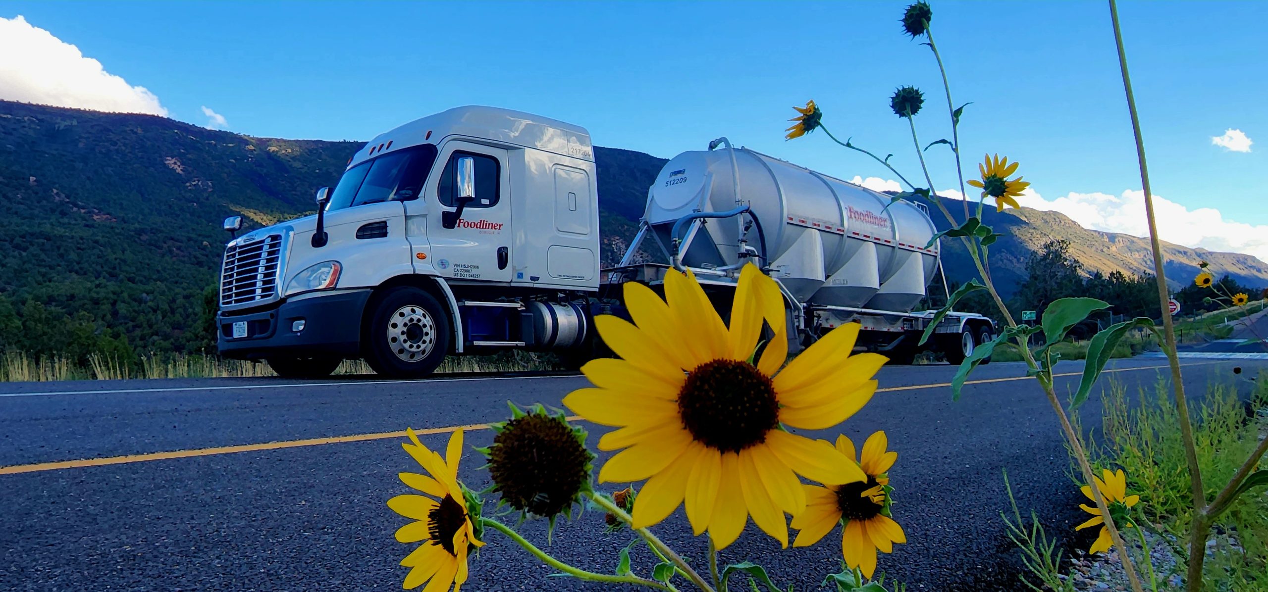 20220921_175928 Foodliner